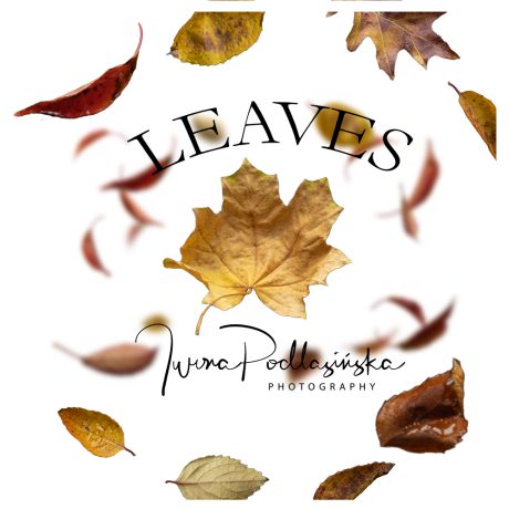 Autumn Leaves
