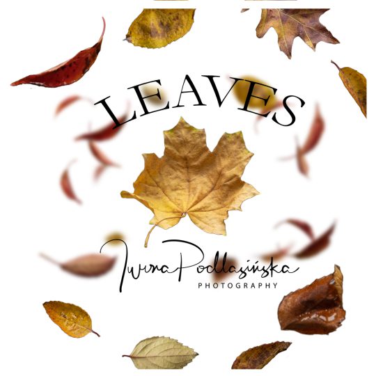 Autumn Leaves