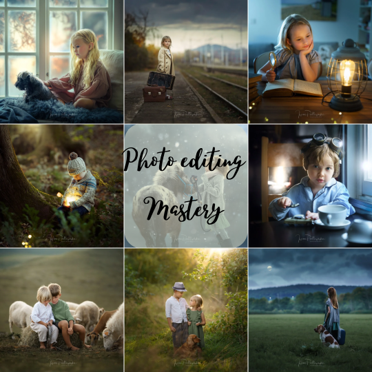Photo Editing Mastery: My Lightroom & Photoshop Workflow