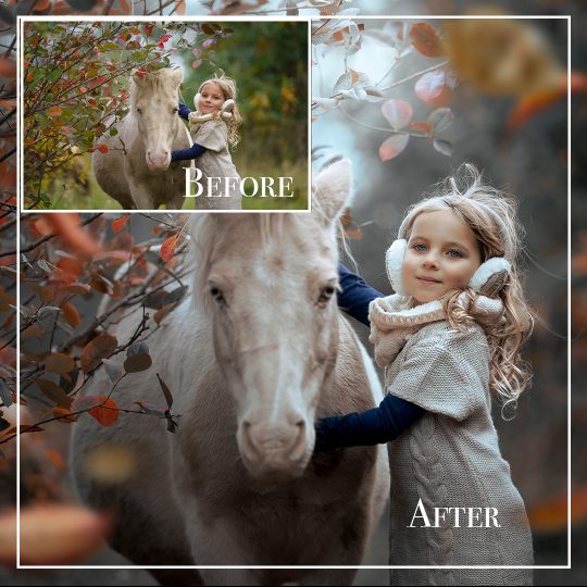 Tutorial "Pony"