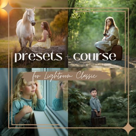 "Iwona Podlasińska Presets Collection – Presets + Course for Lightroom Classic"
