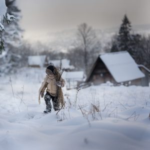Winter_IwonaPodlasinska_Portfolio