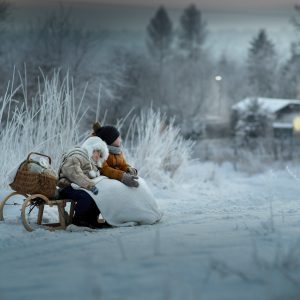 Winter_IwonaPodlasinska_Photos