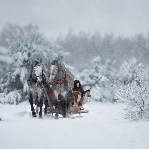 Sleigh_IwonaPodlasinska_photo