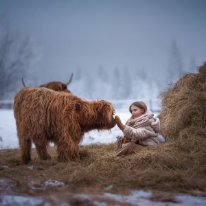 Winter_IwonaPodlasinska_Photos