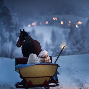 Sleigh_IwonaPodlasinska_photo