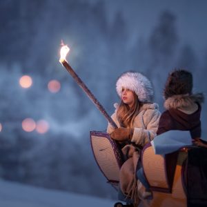 Sleigh_IwonaPodlasinska_photo