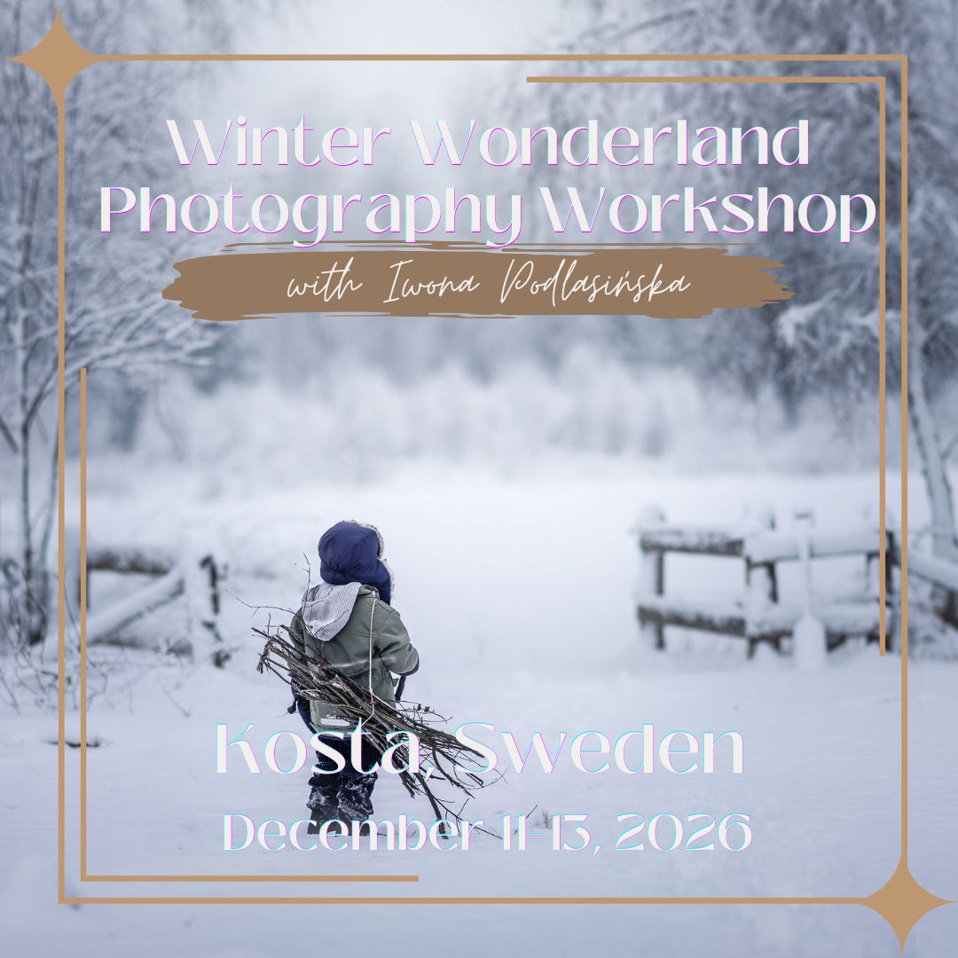 Winter Wonderland Photography Workshop – Sweden 2027