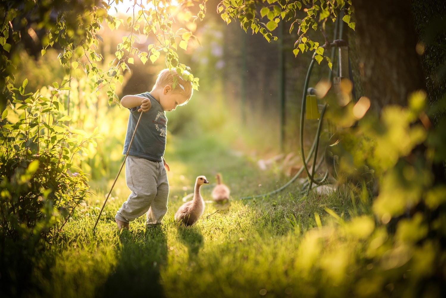 Magical Children photography by Iwona Podlasińska | Warsztaty dla fotografów dziecięcych