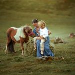 Siedlisko zacisze. portrety