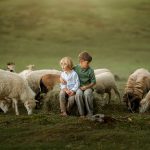 Siedlisko zacisze. portrety