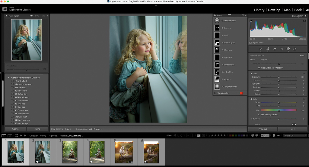 "Presety do Lightrooma + kurs – Iwona Podlasińska Presets Collection" - obrazek 5