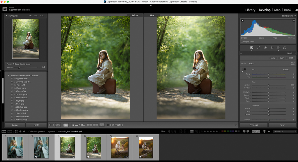 "Presety do Lightrooma + kurs – Iwona Podlasińska Presets Collection" - obrazek 3