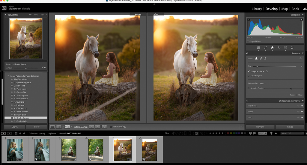 "Presety do Lightrooma + kurs – Iwona Podlasińska Presets Collection" - obrazek 4