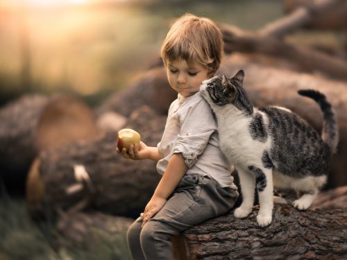 chłopiec z jabłkiem w ręku i kotem